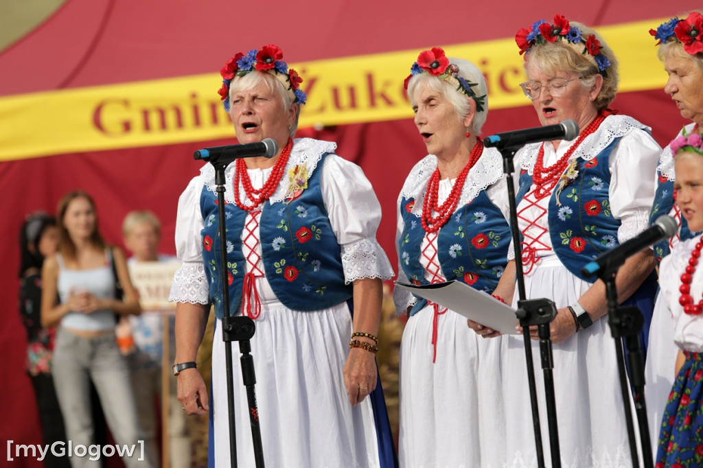 Ale wójt potańczył! Świetna zabawa na dożynkach