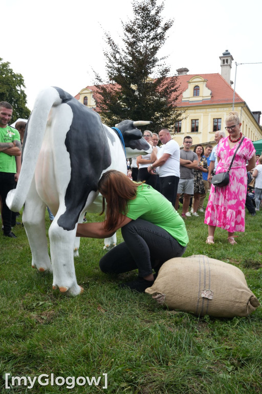 Dożynki w Gaworzycach