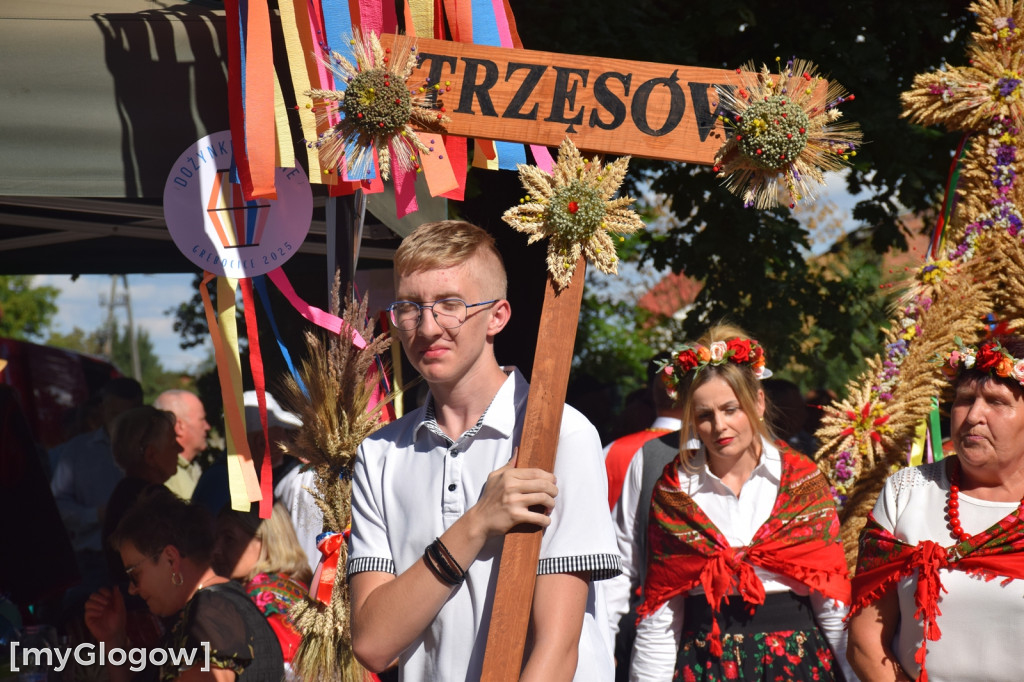 Dożynki w Grębocicach pod Głogowem
