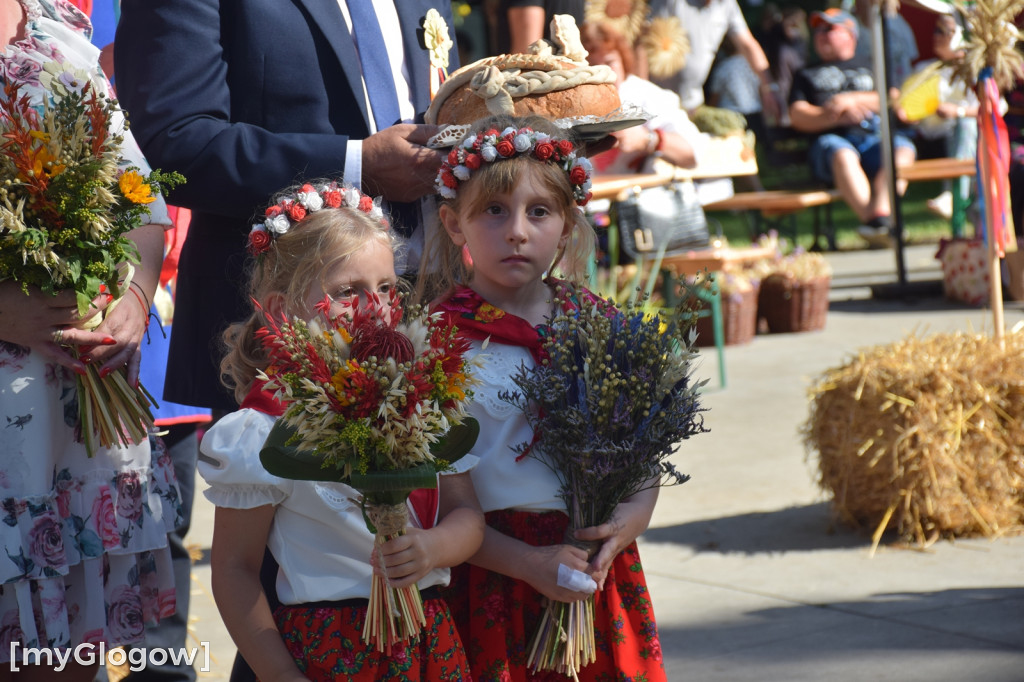 Dożynki w Grębocicach pod Głogowem