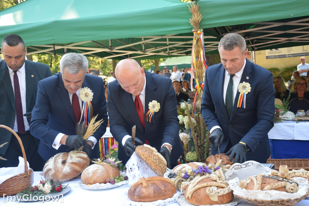Dożynki w Grębocicach pod Głogowem
