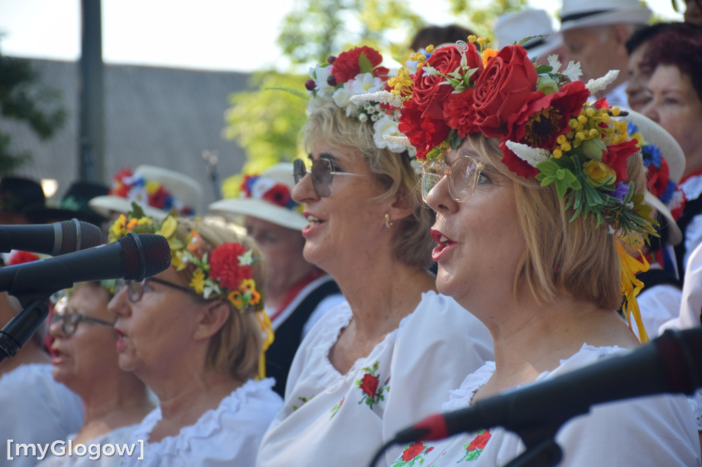Dożynki w Grębocicach pod Głogowem