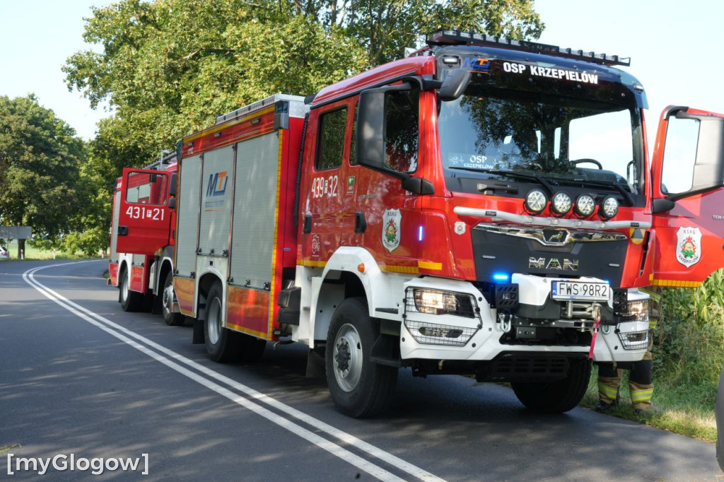 Dachowanie na  DW 319