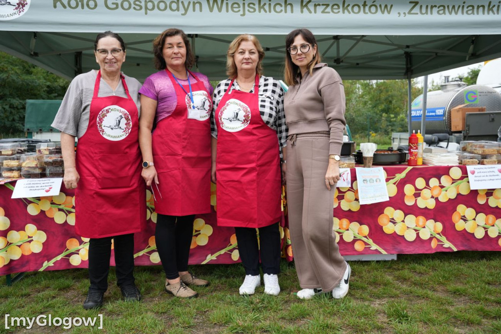 Piknik Serc na Bulwarze Nadodrzańskim