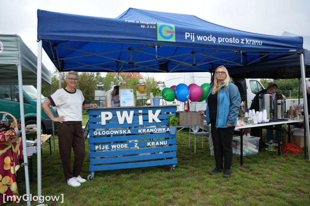 Piknik Serc na Bulwarze Nadodrzańskim