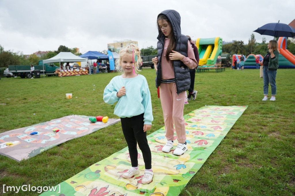 Piknik Serc na Bulwarze Nadodrzańskim