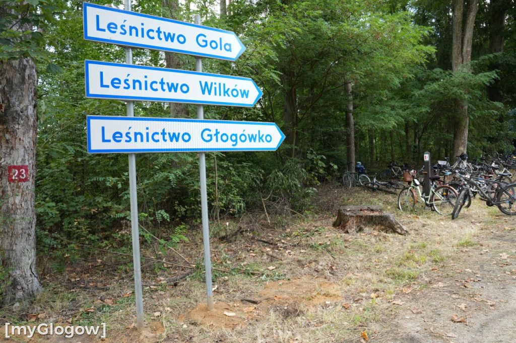 Rowerowa niedziela w gminie Kotla