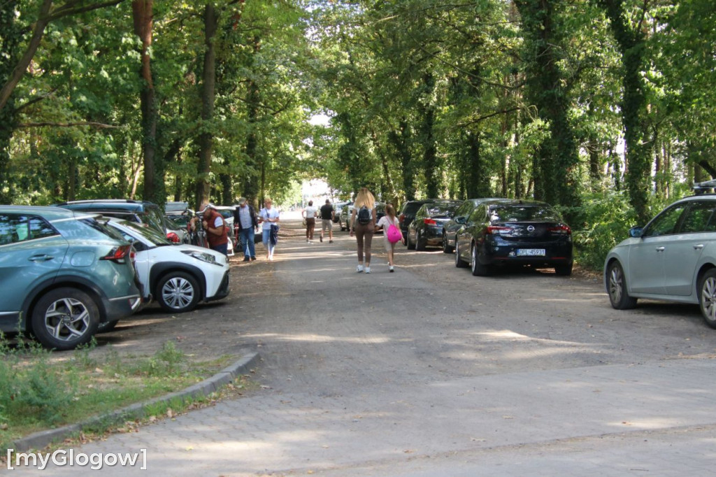 Droga w opłakanym stanie
