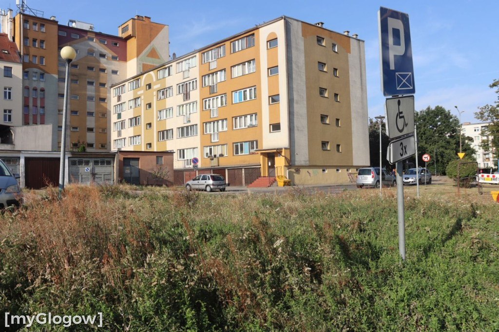 Koszenie na Poczdamskiej