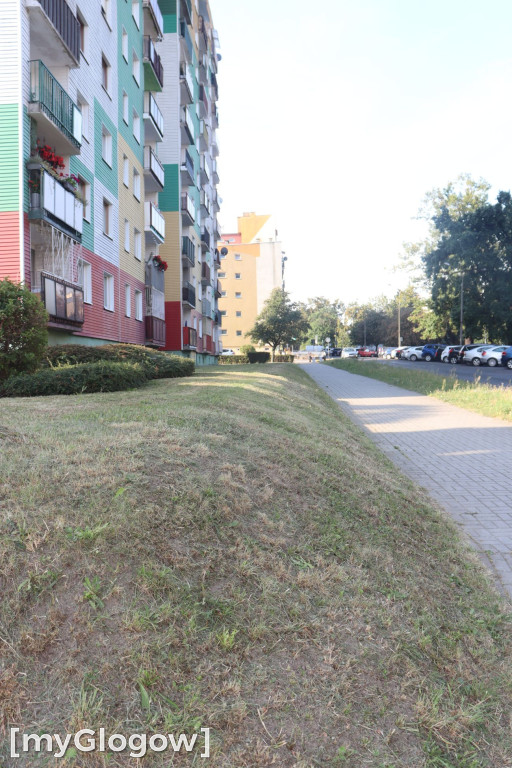 Koszenie na Poczdamskiej
