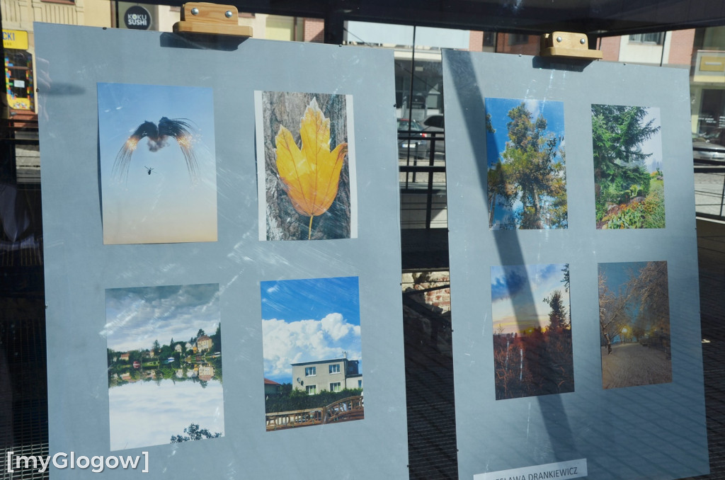 Otwarcie wystawy fotograficznej w sukiennicach