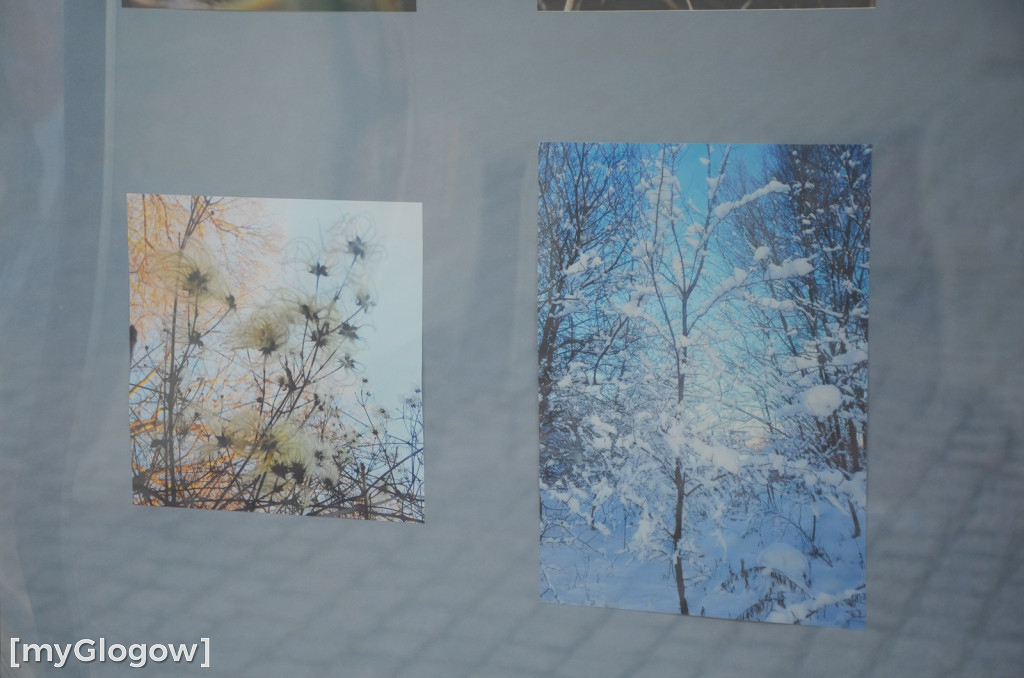 Otwarcie wystawy fotograficznej w sukiennicach