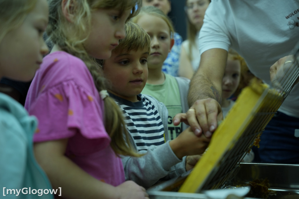 Miodobranie w KGHM! Frajda dla dzieci i dorosłych