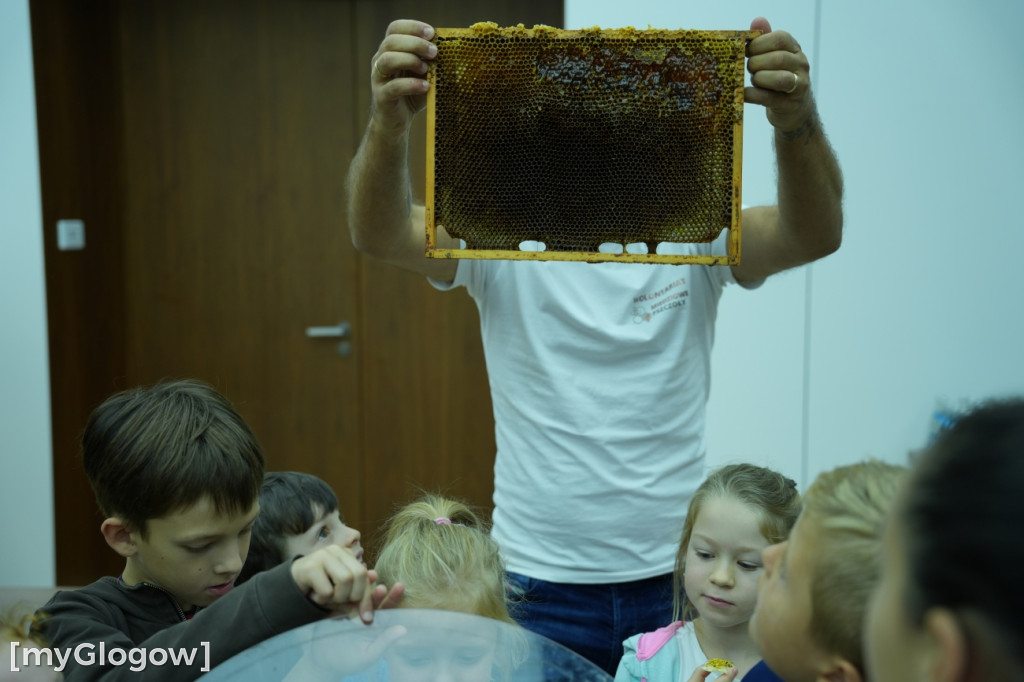 Miodobranie w KGHM! Frajda dla dzieci i dorosłych
