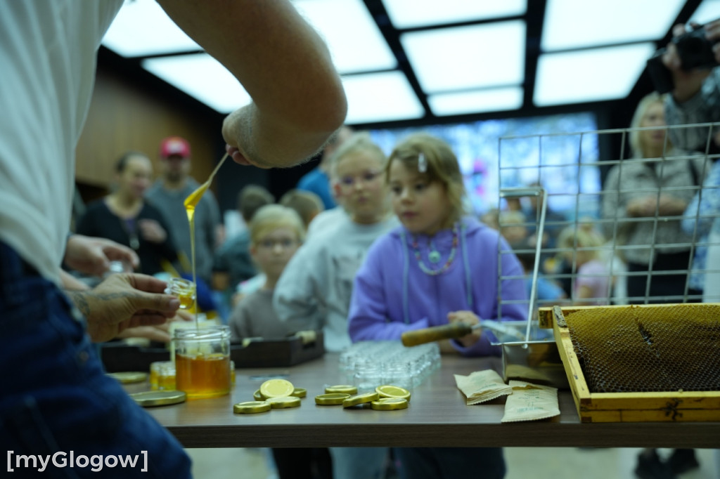 Miodobranie w KGHM! Frajda dla dzieci i dorosłych