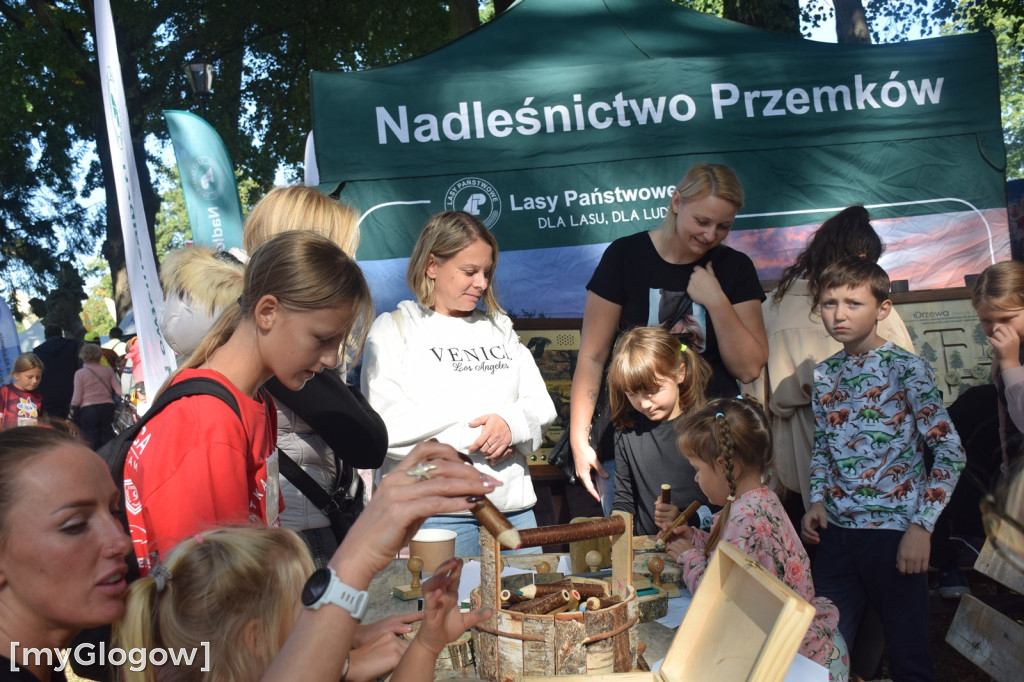 Dolnośląskie Święto Miodu i Wina i Bieg po Miód