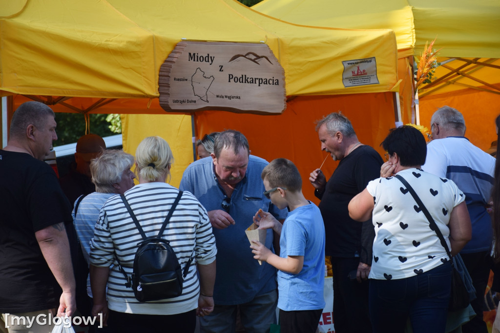 Dolnośląskie Święto Miodu i Wina i Bieg po Miód