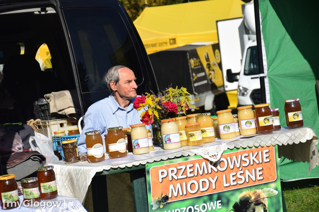 Dolnośląskie Święto Miodu i Wina i Bieg po Miód