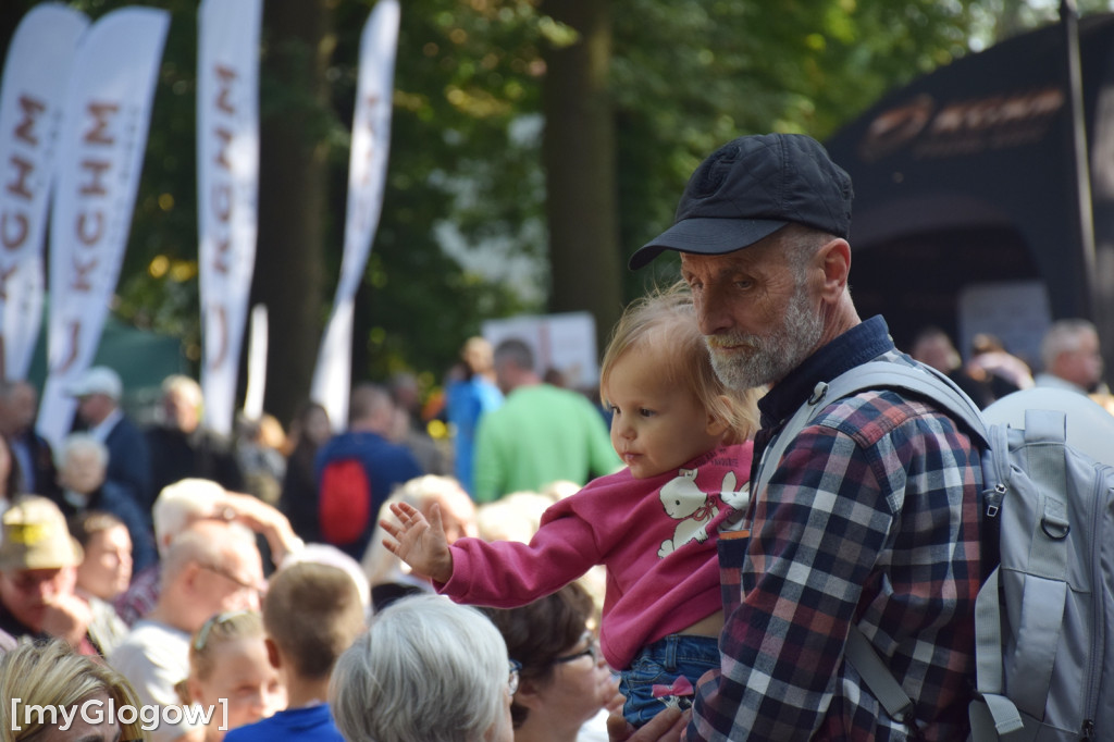 Dolnośląskie Święto Miodu i Wina i Bieg po Miód