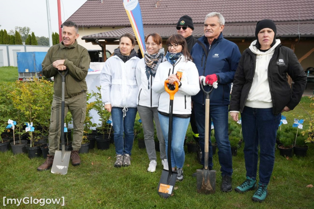 Tak sadzili drzewa w Obiszowie