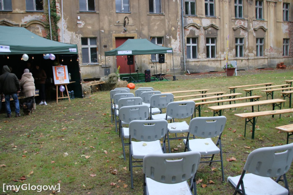 Jesień pod pałacem