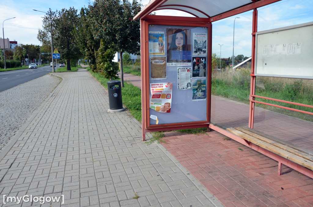 W mieście jest co sprzątać