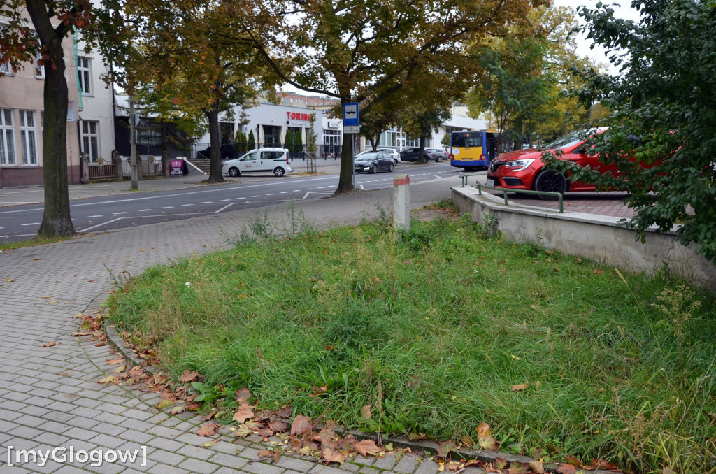 W mieście jest co sprzątać