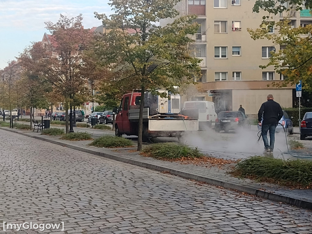 W mieście jest co sprzątać