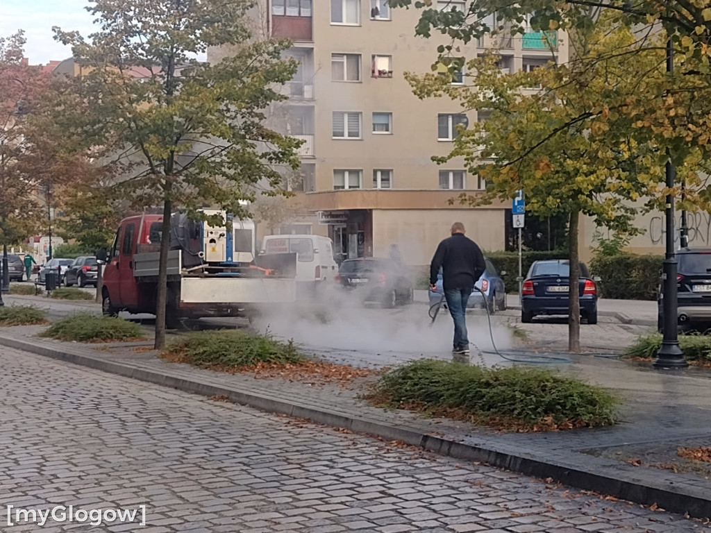 W mieście jest co sprzątać
