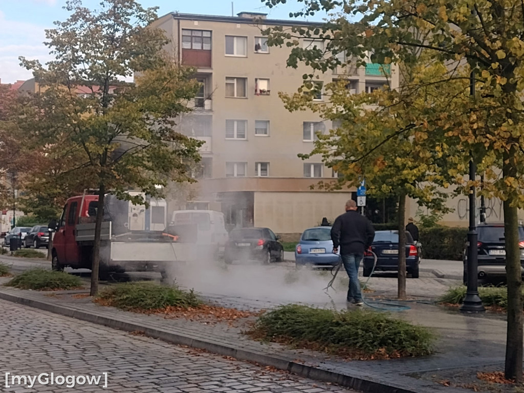 W mieście jest co sprzątać