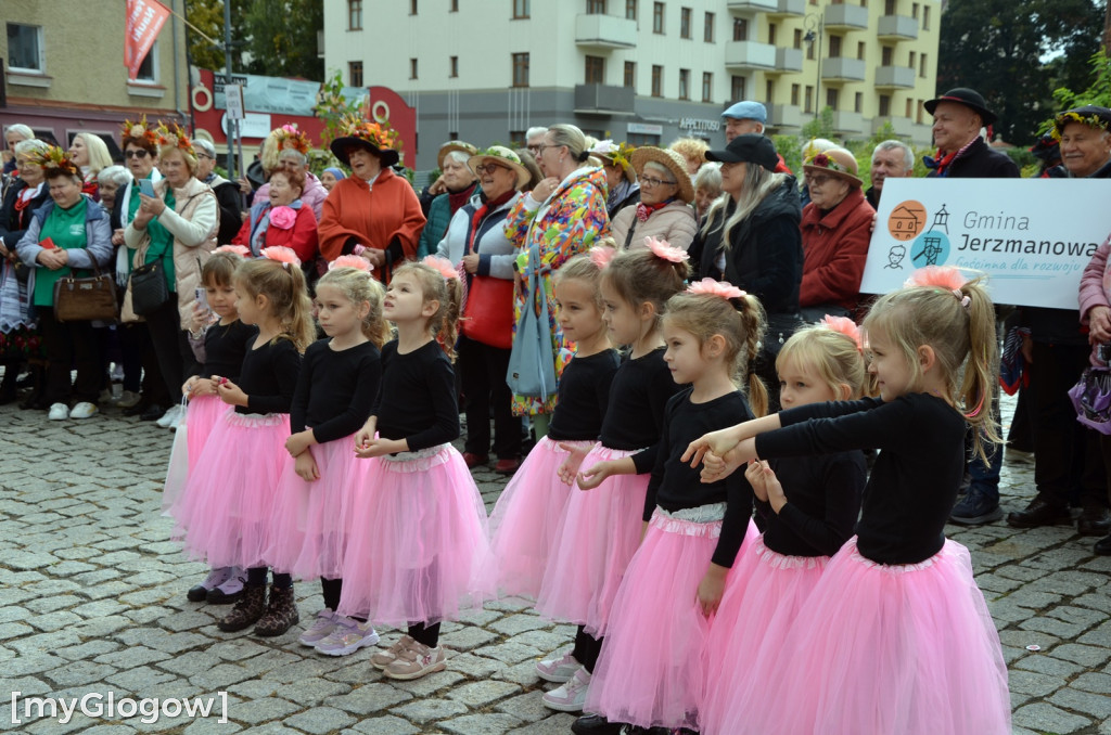 Korowód seniorów w Głogowie