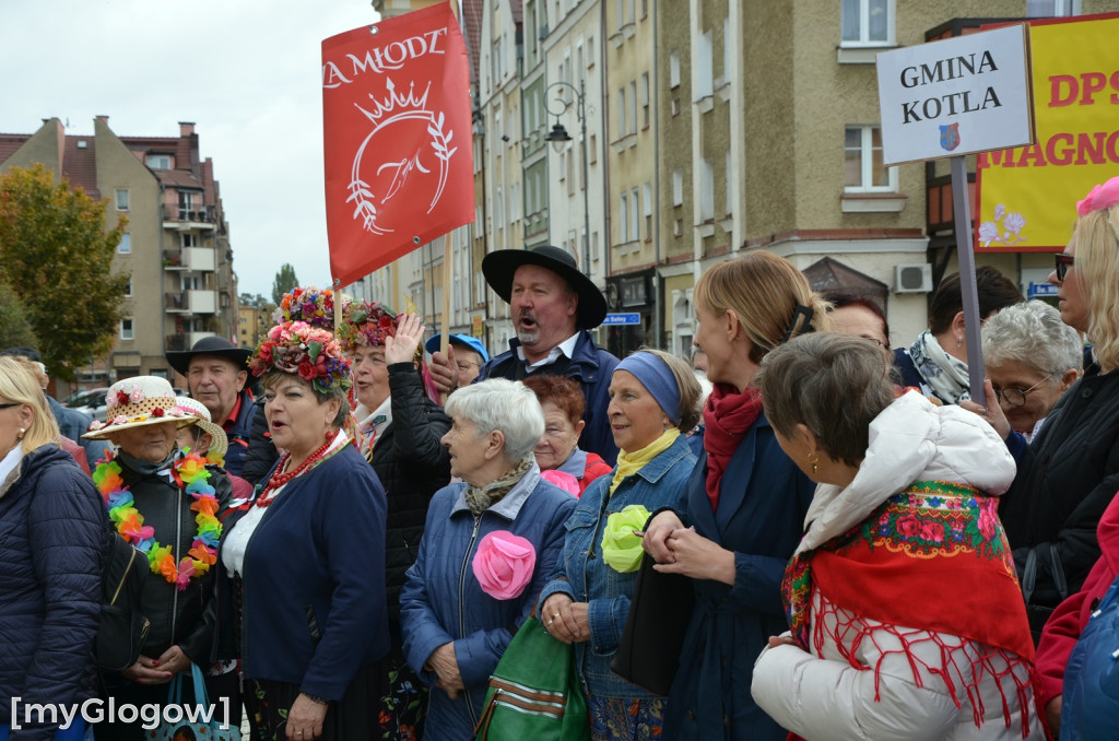 Korowód seniorów w Głogowie