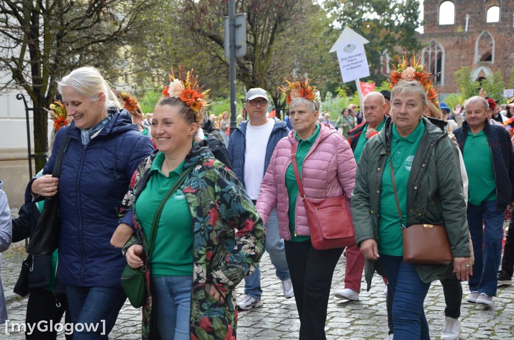 Korowód seniorów w Głogowie