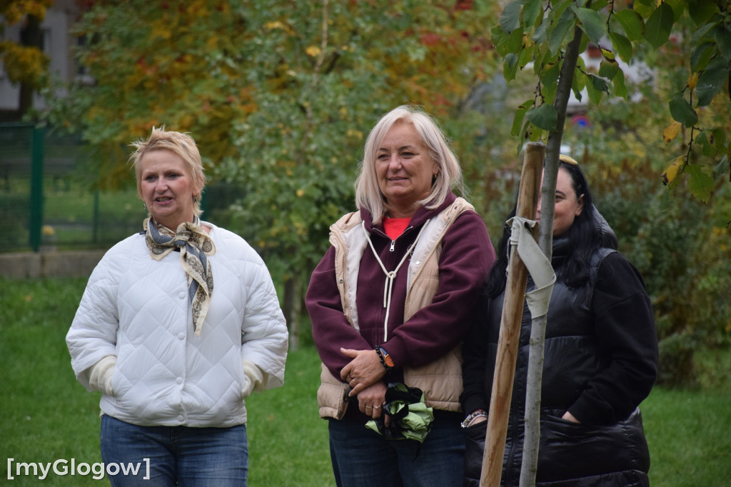 Maraton hula-hop w Głogowie