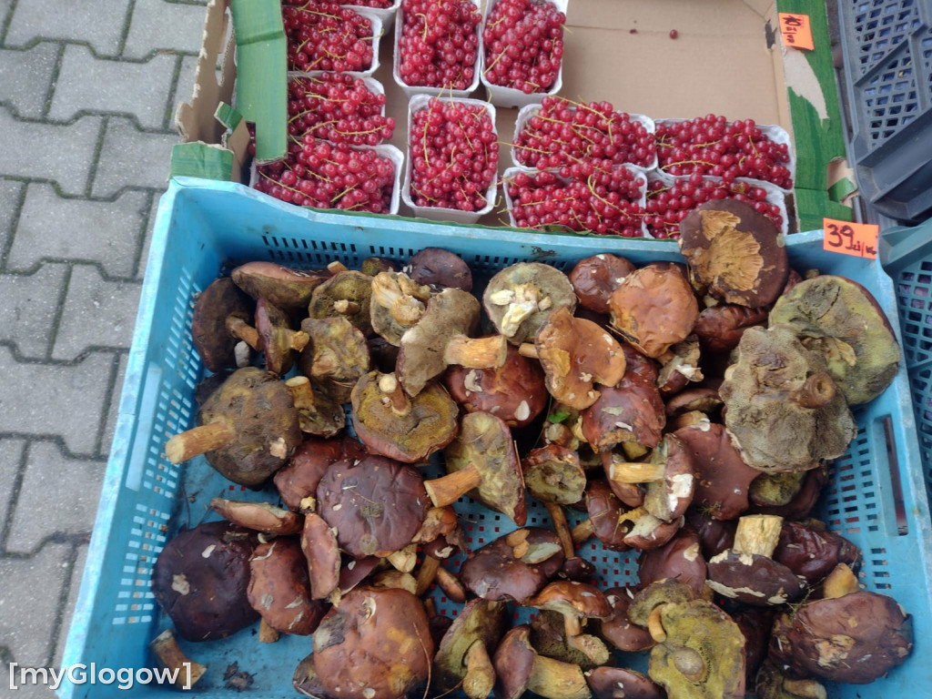 Ceny warzyw i owoców na targu w Głogowie