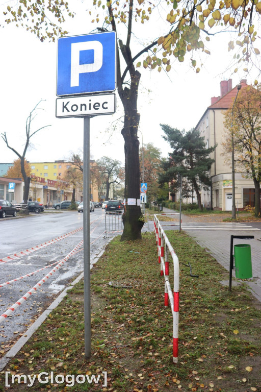 Wycinka na Alei Wolności