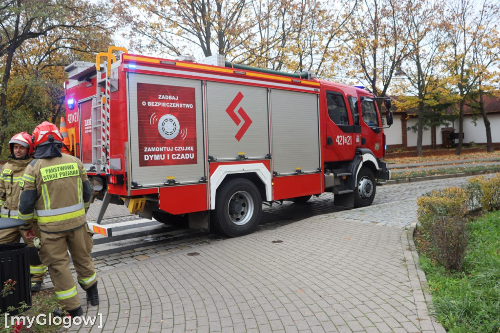 Akcja strażaków na Wałach Chrobrego