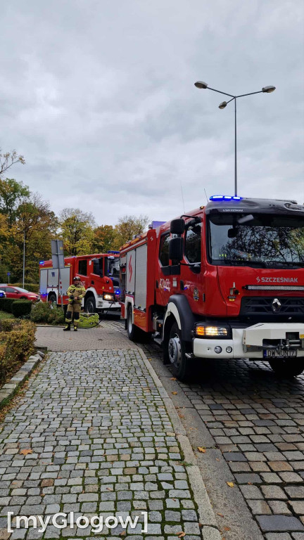 Akcja strażaków na Wałach Chrobrego
