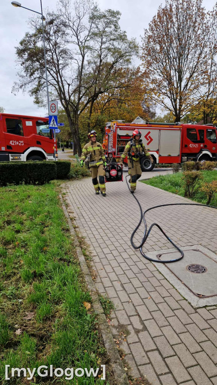 Akcja strażaków na Wałach Chrobrego
