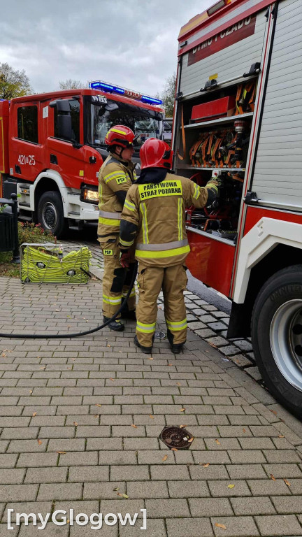Akcja strażaków na Wałach Chrobrego