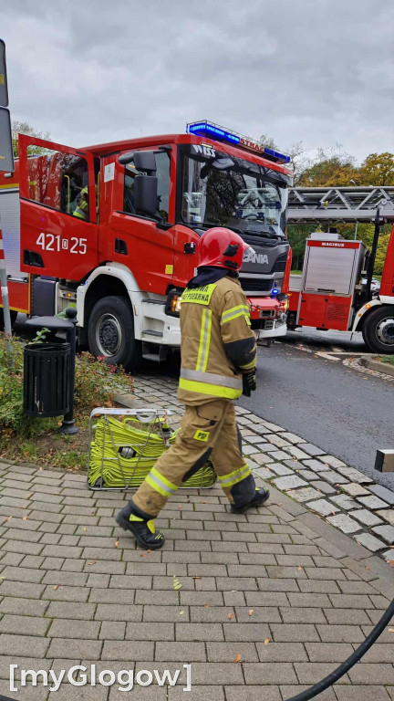 Akcja strażaków na Wałach Chrobrego