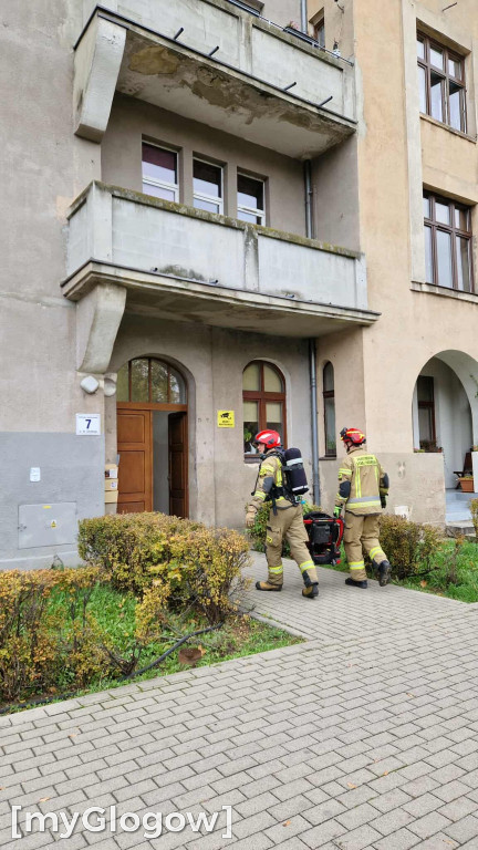 Akcja strażaków na Wałach Chrobrego
