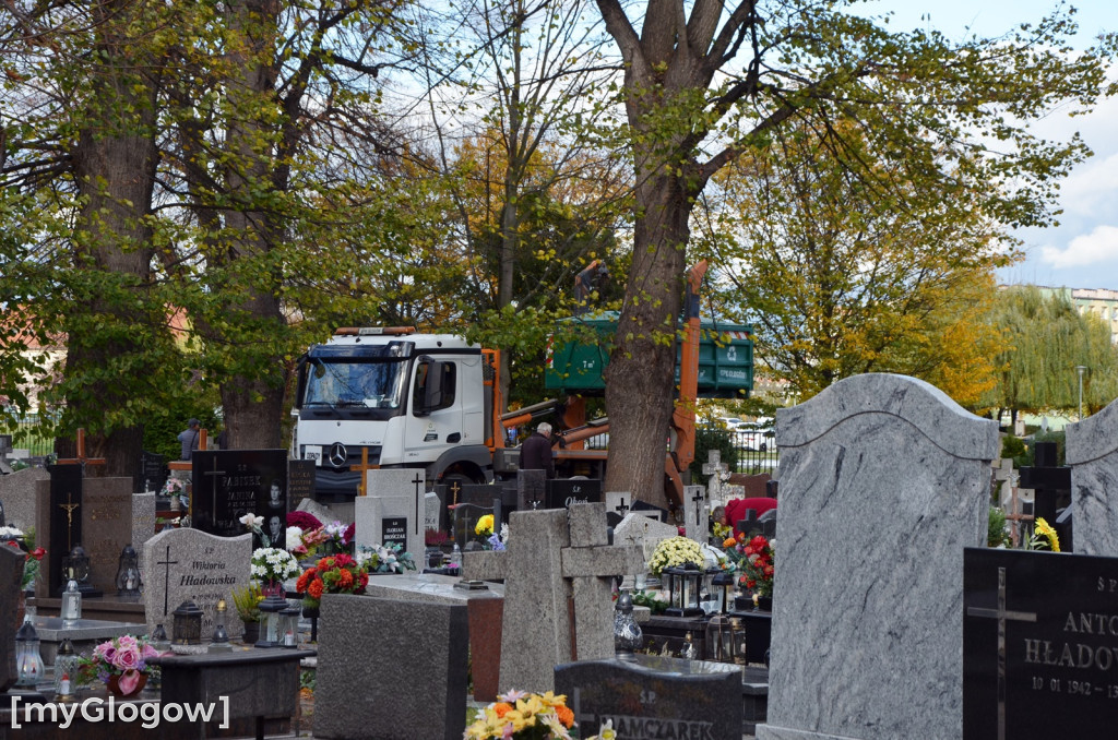 Przygotowania na cmentarzu przy ul. Legnickiej