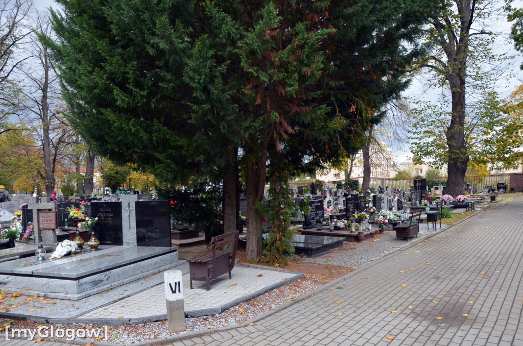 Przygotowania na cmentarzu przy ul. Legnickiej
