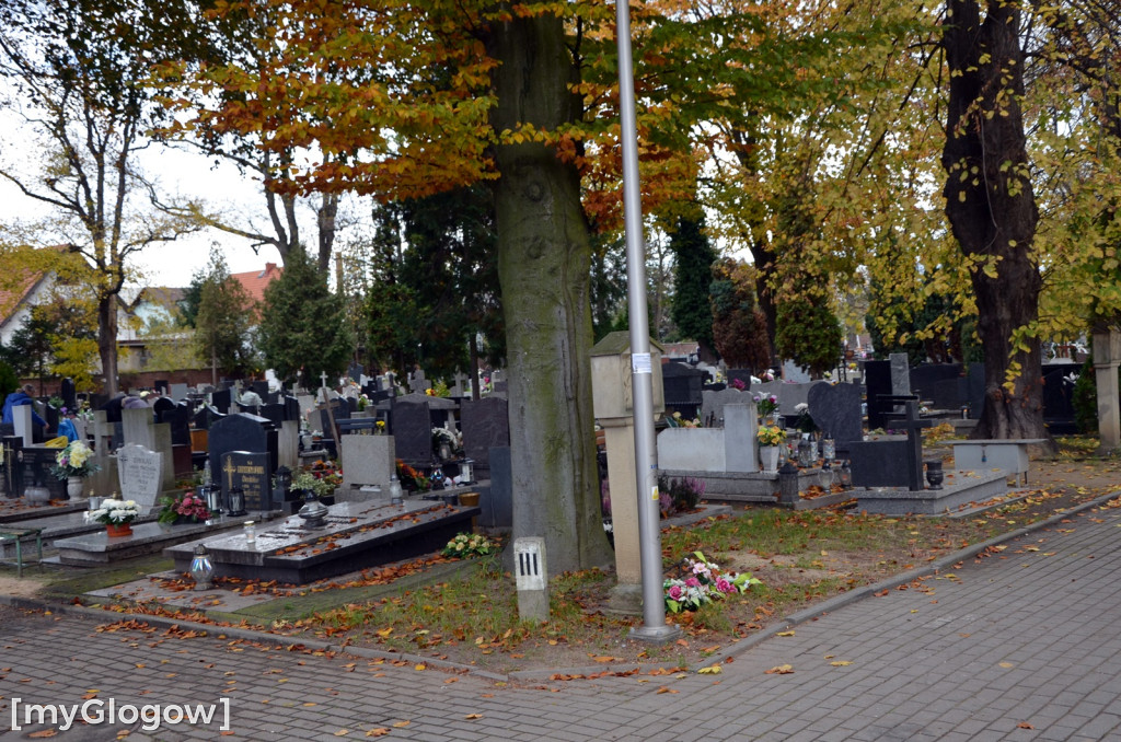 Przygotowania na cmentarzu przy ul. Legnickiej
