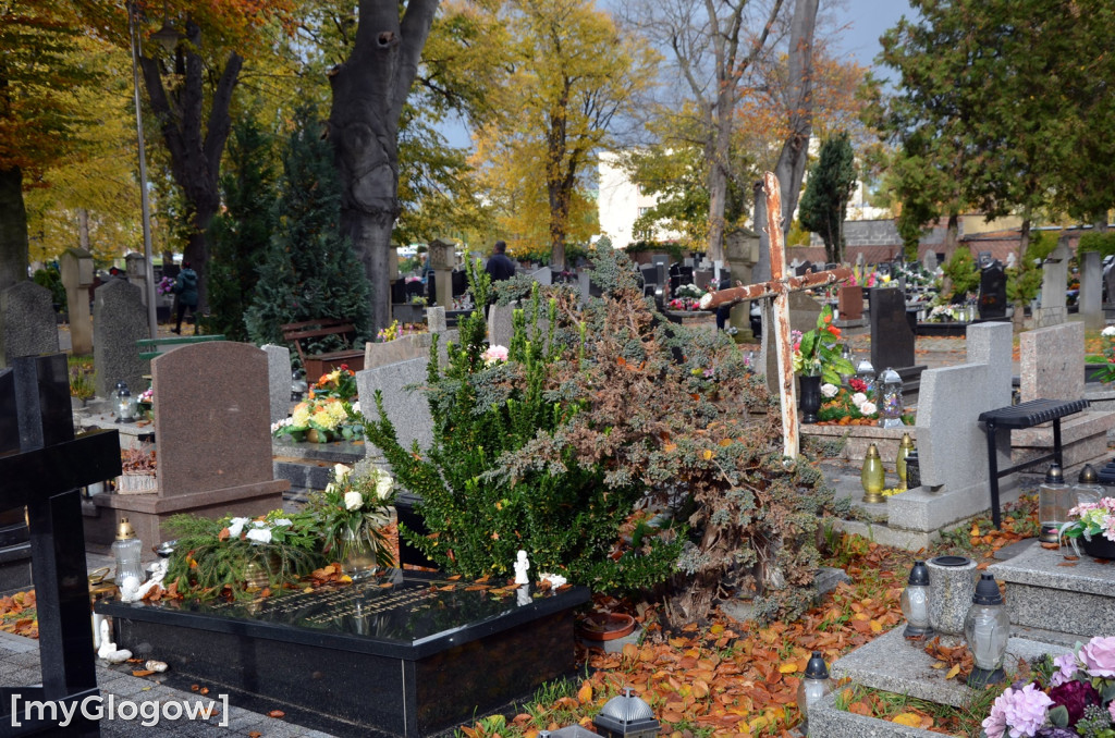 Przygotowania na cmentarzu przy ul. Legnickiej