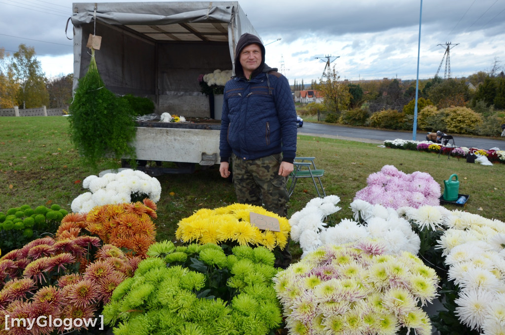 Żywe chryzantemy przy cmentarzach w Głogowie
