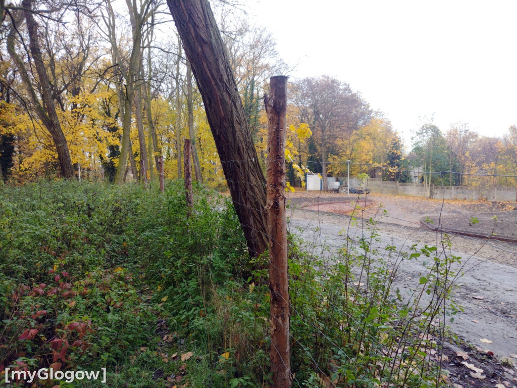 Odkrycia w Forcie Gwiaździstym w Głogowie