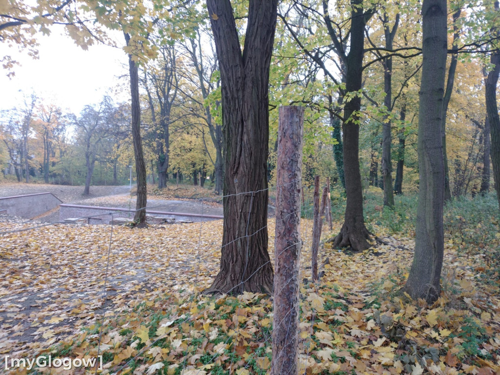 Odkrycia w Forcie Gwiaździstym w Głogowie