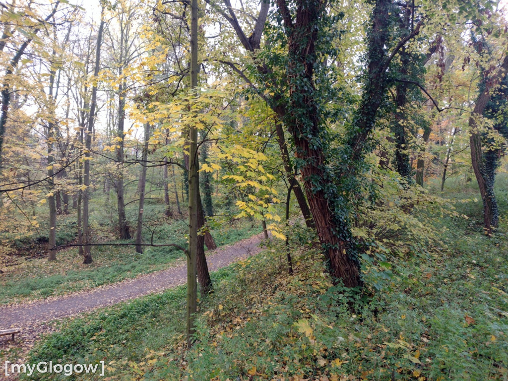 Odkrycia w Forcie Gwiaździstym w Głogowie